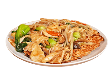 steam nyc pan fried noodles